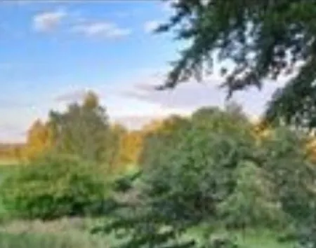 Tipi Jurte # Zelt In Der Mecklenburgischen Seenplatte Inklusive Strom - Dixi-wc!! #mecklenburg-vorpommern 럭셔리텐트 *