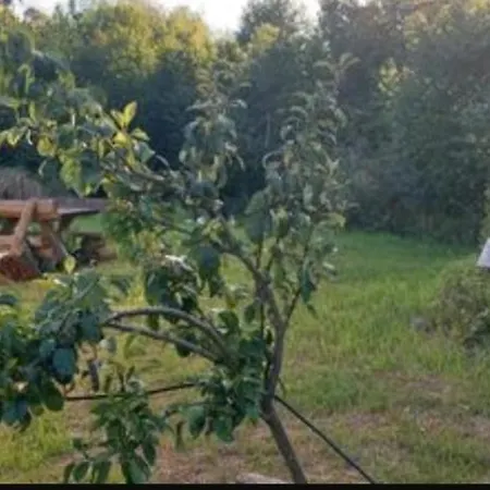 Tipi Jurte # Zelt In Der Mecklenburgischen Seenplatte Inklusive Strom - Dixi-wc!! #mecklenburg-vorpommern *