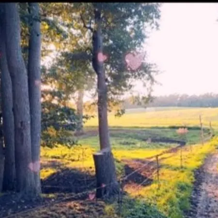 Tipi Jurte # Zelt In Der Mecklenburgischen Seenplatte Inklusive Strom - Dixi-wc!! #mecklenburg-vorpommern * Carpin