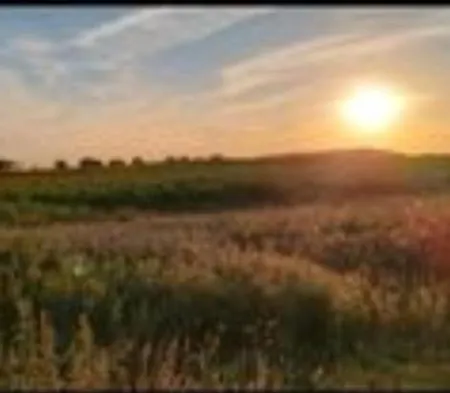 אוהל מפואר Tipi Jurte # Zelt In Der Mecklenburgischen Seenplatte Inklusive Strom - Dixi-wc!! #mecklenburg-vorpommern *