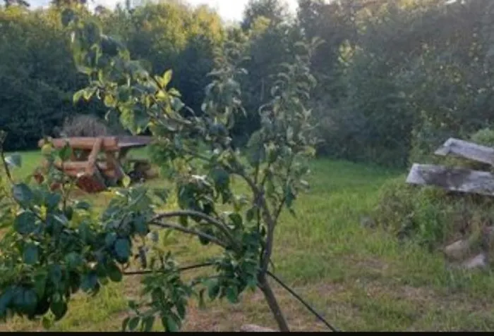 Tipi Jurte # Zelt In Der Mecklenburgischen Seenplatte Inklusive Strom - Dixi-wc!! #mecklenburg-vorpommern *